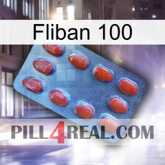 Fliban 100 06